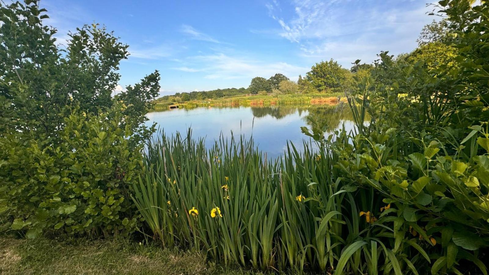 Bransford Farm Fishery & B & B מראה חיצוני תמונה